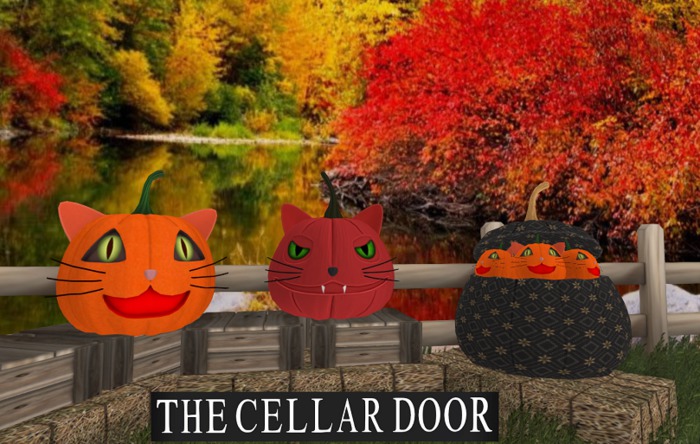 ~TCD~ Kitty Pumpkin Set