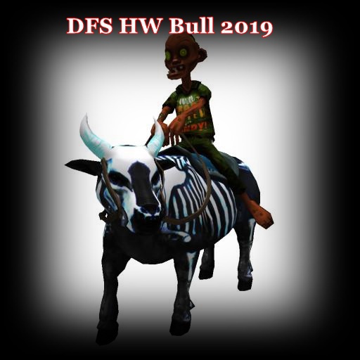 DFS TEXTURE - DFS HW Bull 2019