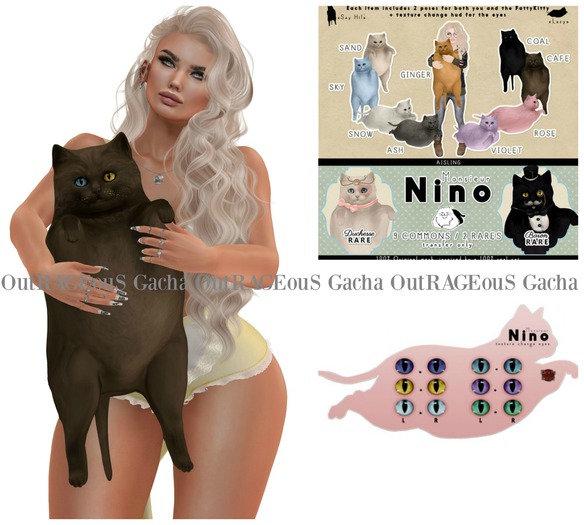 . aisling . NINO - 2 Fat Cats with Hold Poses - Cafe