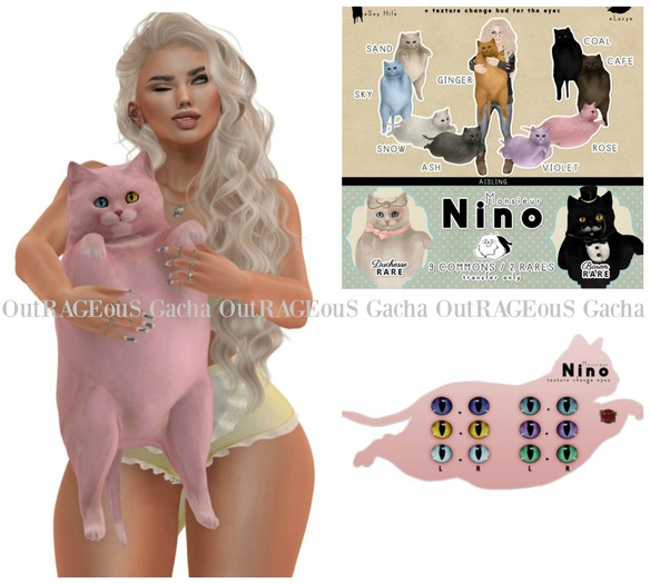 . aisling . NINO - Rose