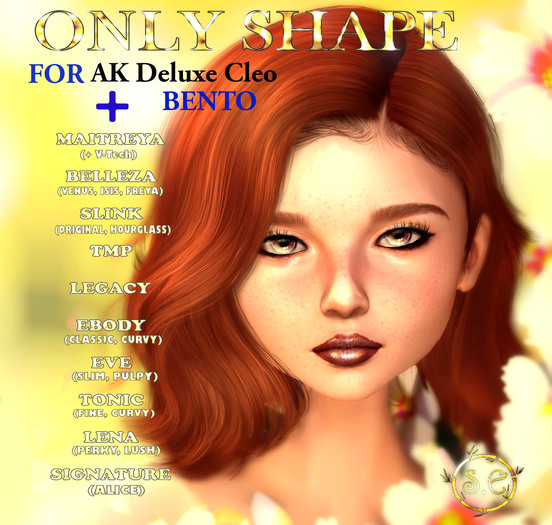 *Snow Elf* Shape for AK Deluxe Cleo bento *small*