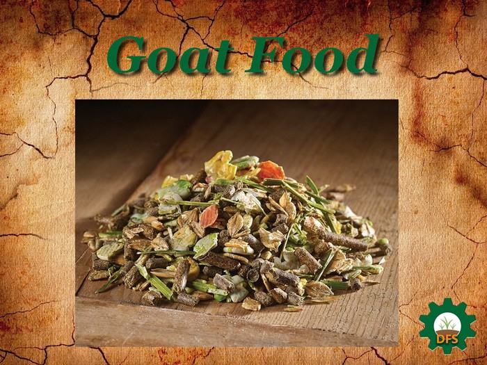 DFS Texture Goat Food