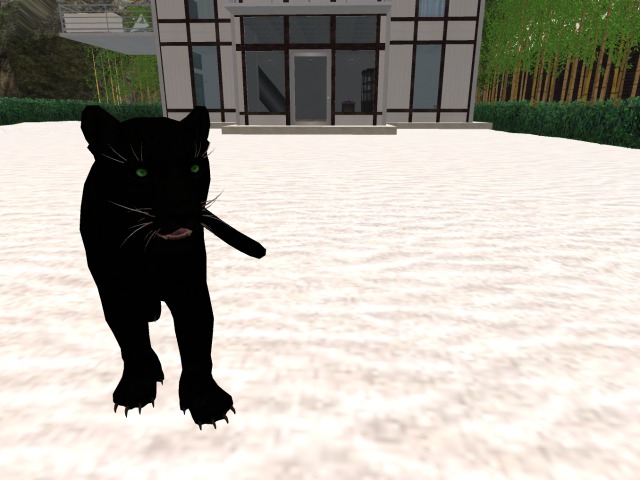 Animated Mesh Black Panther