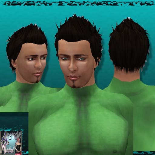BLACK SHORT HAIR CONTINENTAL ROUGH 
