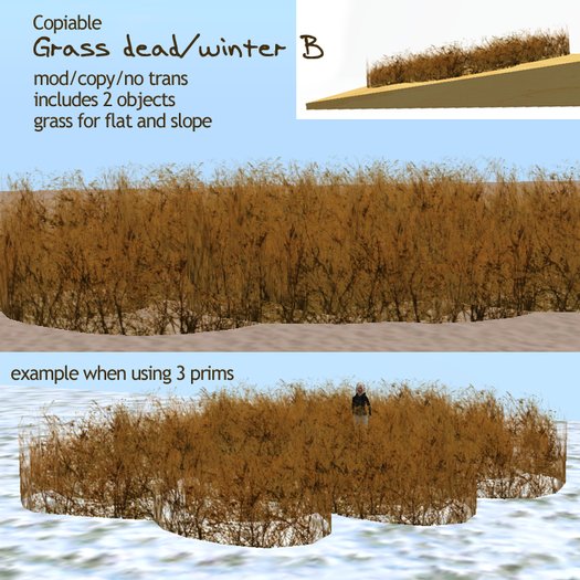 (g.) Grass Dead / winter B