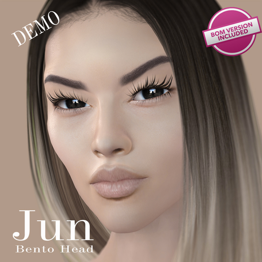 [AK Deluxe] - Jun Bento Head DEMO