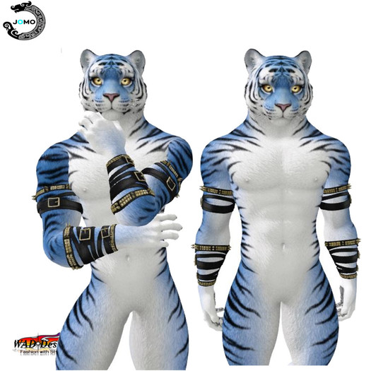 ARM STRAPS TIGER