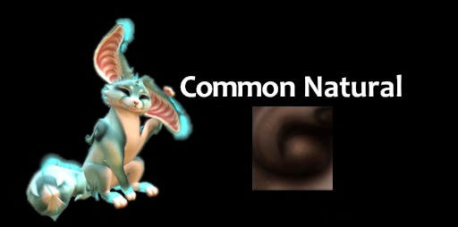 {NB} Spirit Fennec COMMON Natural BROWN Voucher (Wear)