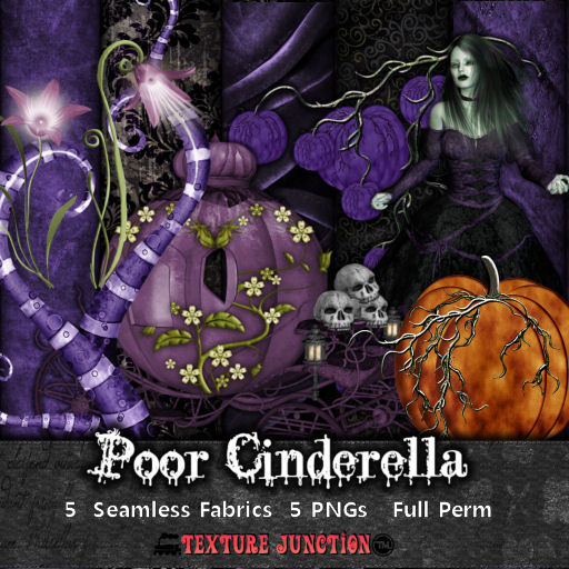 ~TJ~  Poor Cinderella