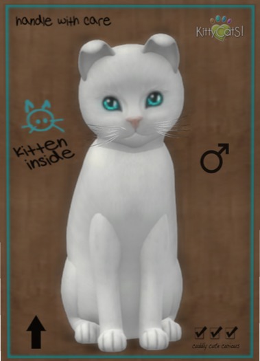 KittyCatS Box - Russian - White