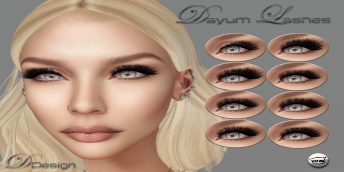 Dayum Lashes Catwa Applier Box - Attach&Touch to Unpack