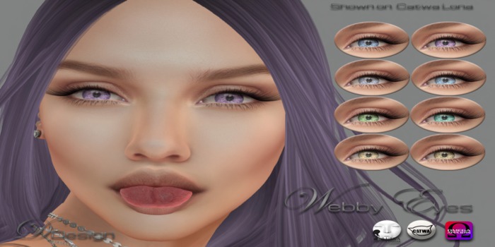 Webby Eyes Box (wear)