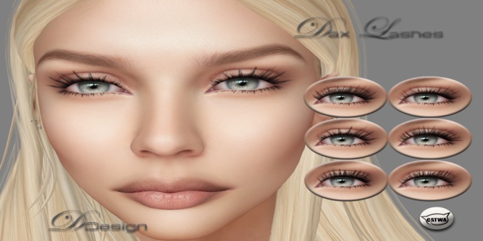 Dax Lashes Demo Box (wear)