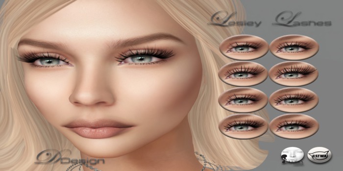 Lesley Lashes Demo Box (wear)