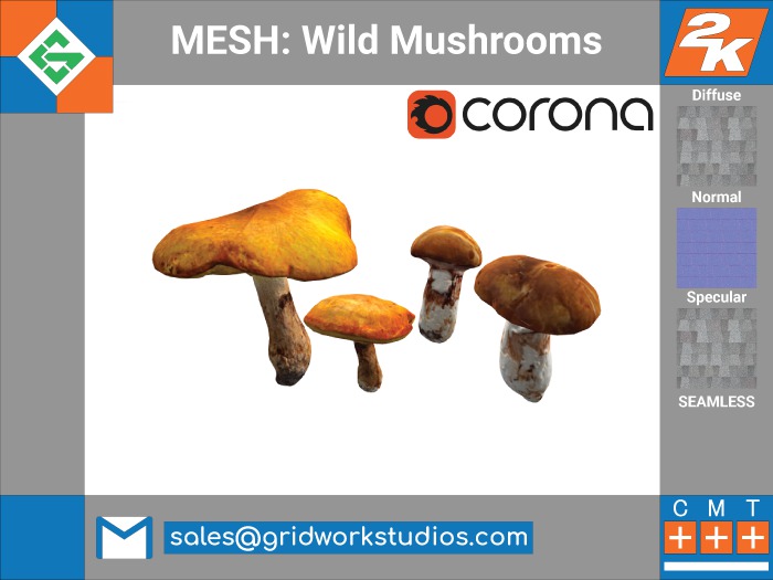 MESH: Wild Mushrooms