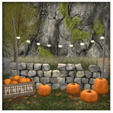 LpOca  Pumpkins 2