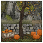 LpOca  Pumpkins 1