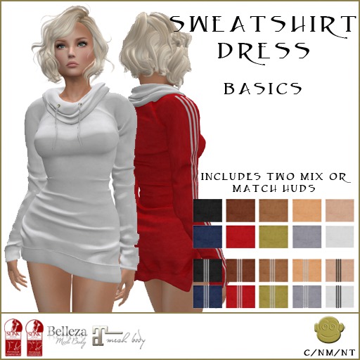 BM Sweatshirt Dress Basics