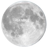 The Moon Wall Decal *transparent*