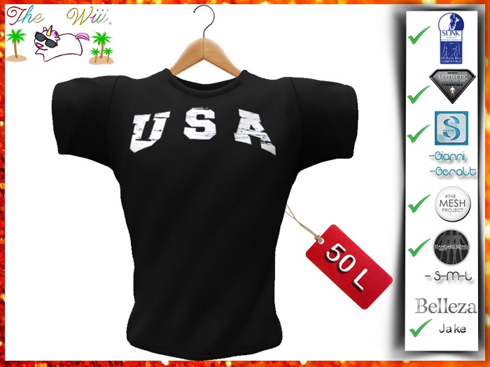 USA Shirt