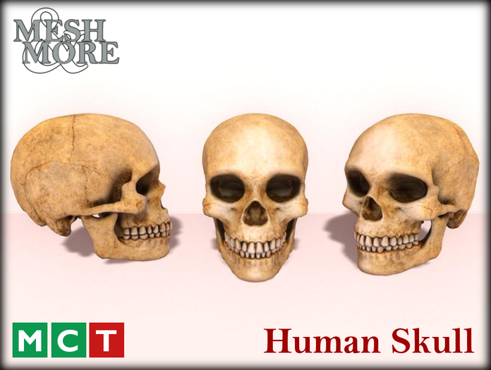 SKULL