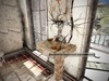 19 drd mm3 uprooted sink 001