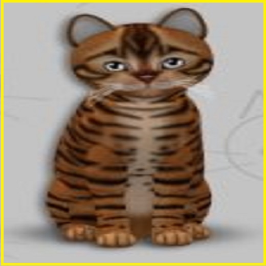 KittyCatS Box - New Born Kitten