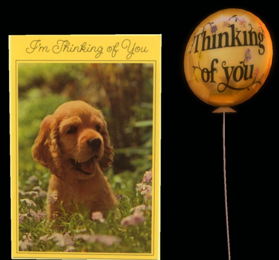 I'm thinking of you today