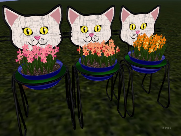 Cinderella KittyCat Planter & Daffodils C