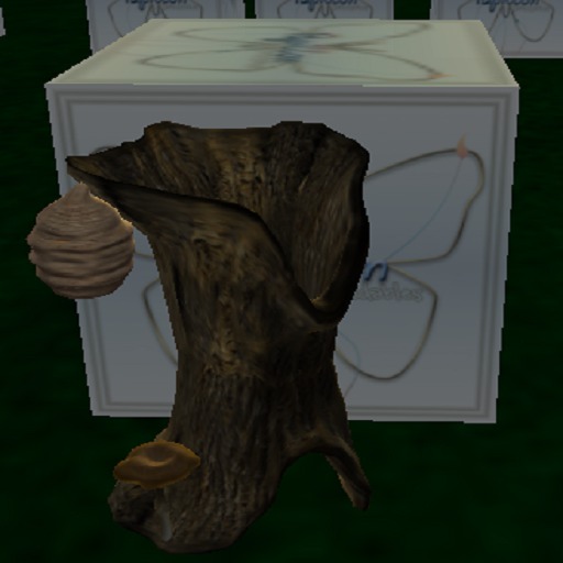 {Papillon} [Boxed] 1-Month 20-Meter Starter Accessory