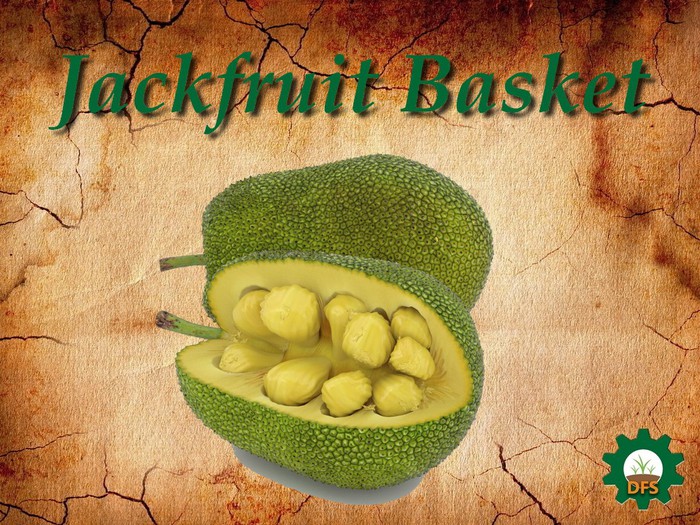 DFS Texture Jackfruit basket
