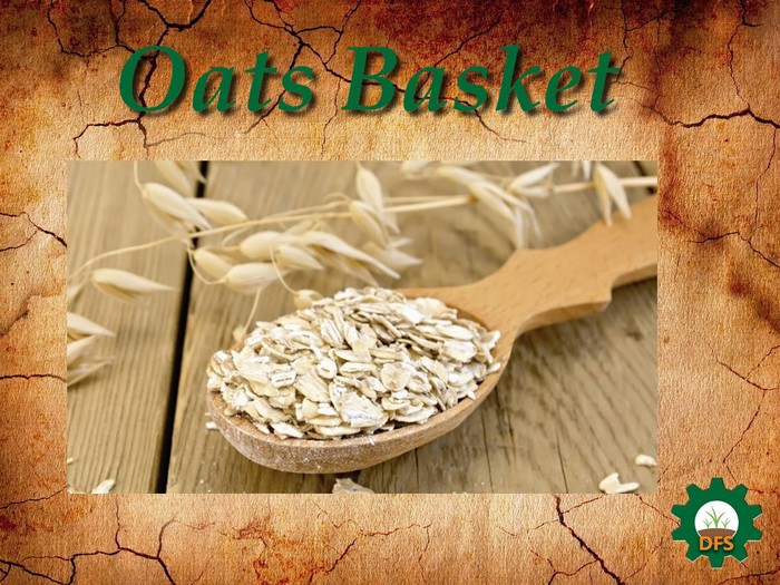 DFS Texture Oats Basket