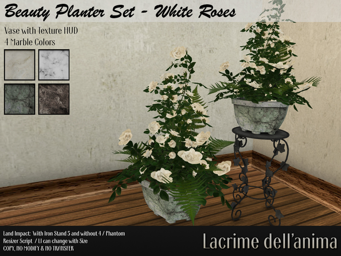 Beauty Planter Set - White Roses