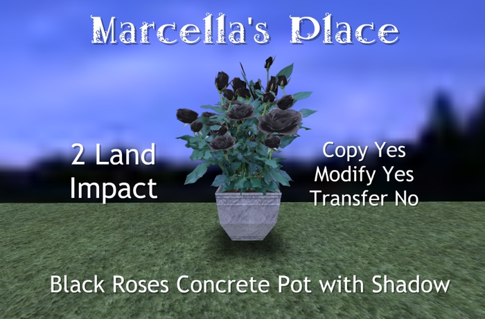 [MP] Black Roses Concrete Pot with Shadow (C/M)