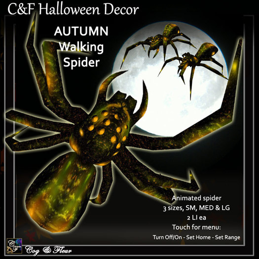C&F Wandering Spider - Autumn