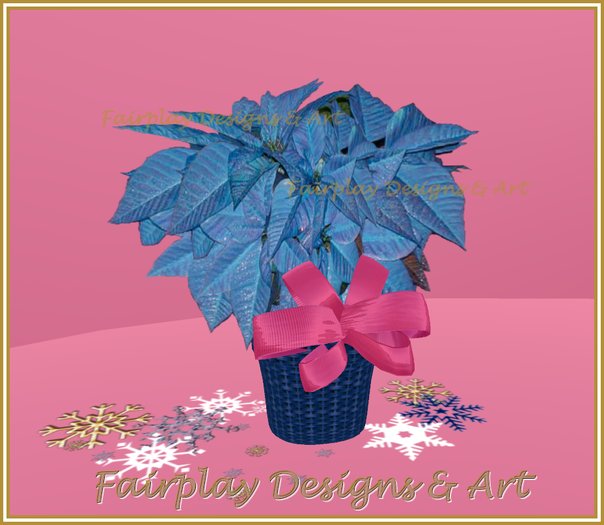 ~Musical Blue Poinsettia~