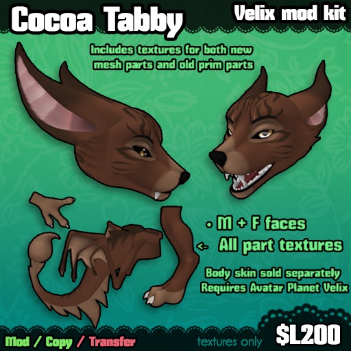 Ferine : Cocoa Tabby - Velix