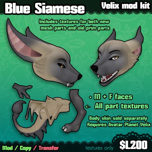 Ferine : Blue Siamese - Velix