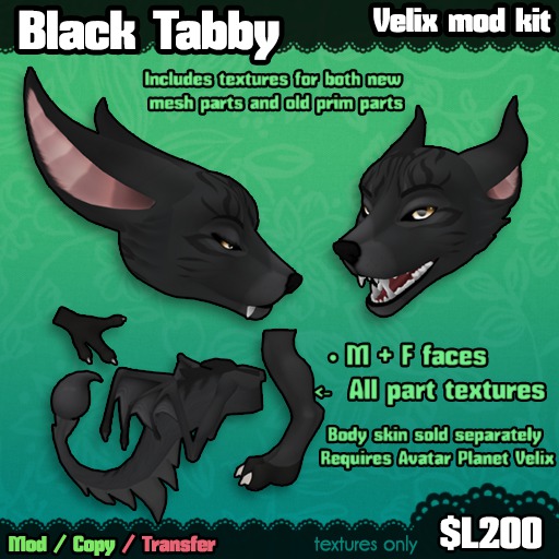 Ferine : Black Tabby - Velix