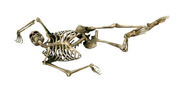 Mesh Skeleton Lying (copy version)