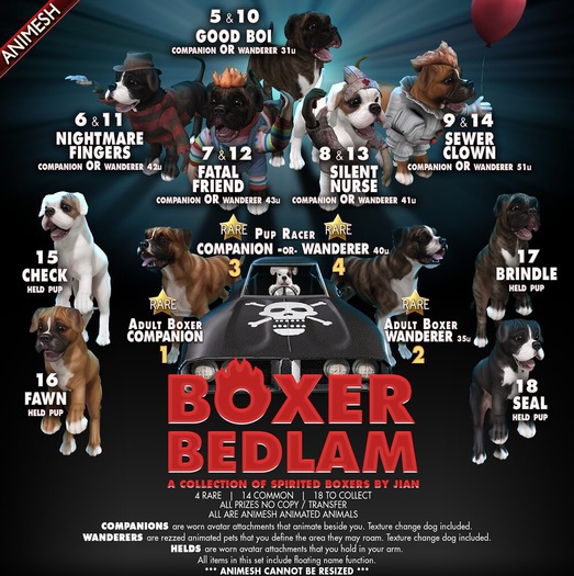 JIAN Boxer Bedlam 3. Pup Racer Companion BOX RARE