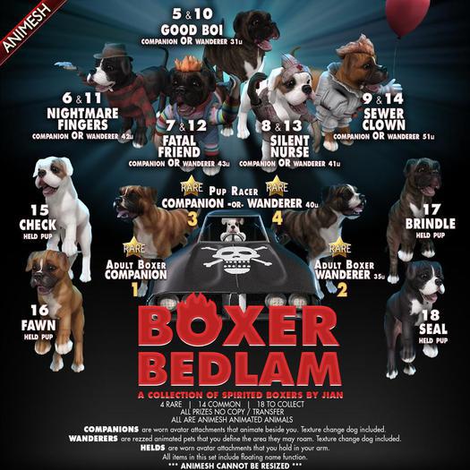 JIAN Boxer Bedlam 4. Pup Racer Wanderer BOX RARE