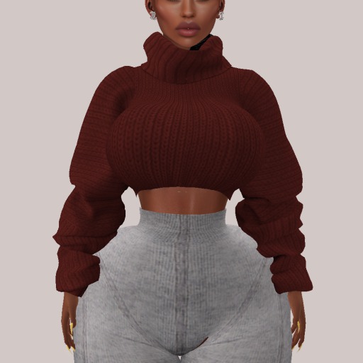 Moxy - Cropped Sweater ( Wine )
