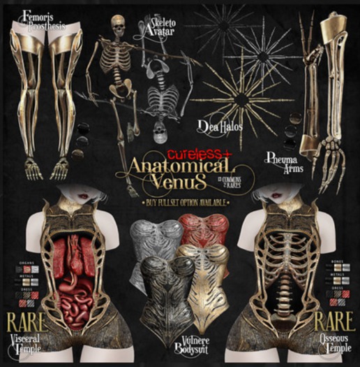 CURELESS[+] Anatomical Venus / M / Vulnere Bodysuit / GOLD