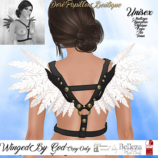 DPB Winged By God - Black & Cream
