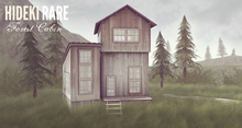 HIDEKI - Forest Cabin - RARE