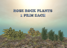 *Heart* - Sim Border Rose Rock - plants