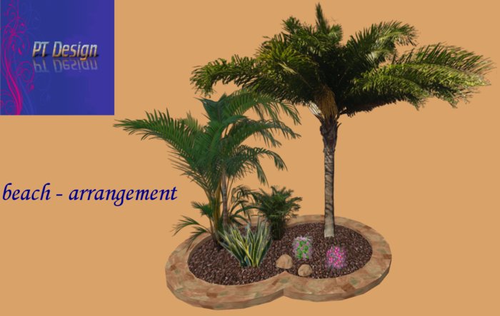 PT beach - arrangement