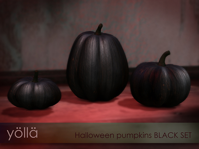 YOLLA pumpkins BLACK