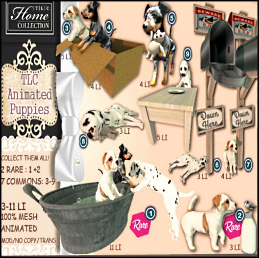 *TLC Puppies 6_Common